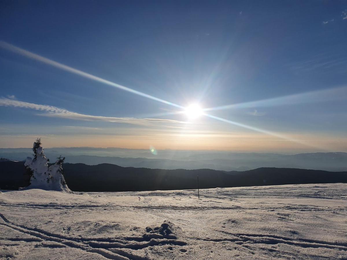 Planinsko Jutro - Brzece Centar Apartments, Kopaonik Luaran gambar