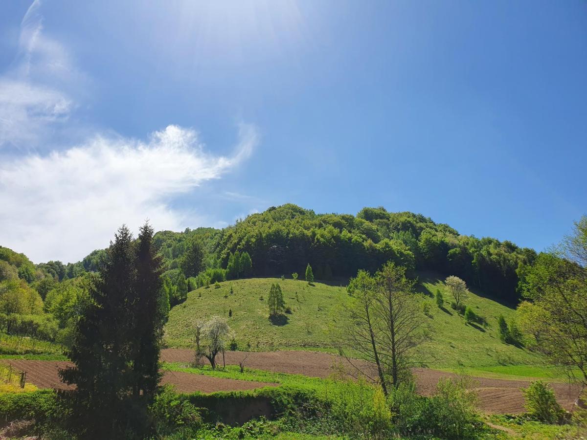 Planinsko Jutro - Brzece Centar Apartments, Kopaonik Luaran gambar